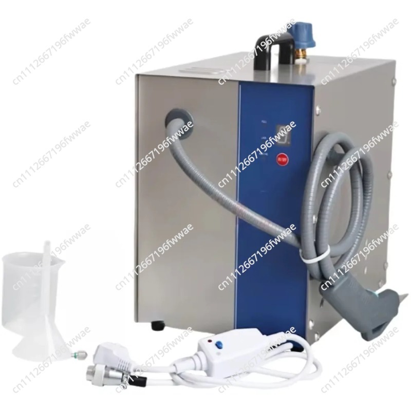 For Stainless Steel 2L Profess - Jewelry Steam Cleaner Professional 2L recension och pris